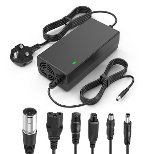 LabTEC 54.6V 48V 2A Electric Bike Lithium Battery Charger for 48V 2A 13S Li-on Battery E-bike Electric Scooter Power Supply (6 in 1)