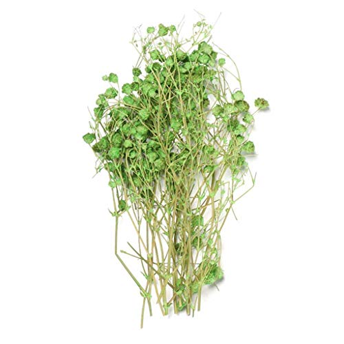 Ramo mini flores secas natural decoración hogar 3 unidades miniatura 1