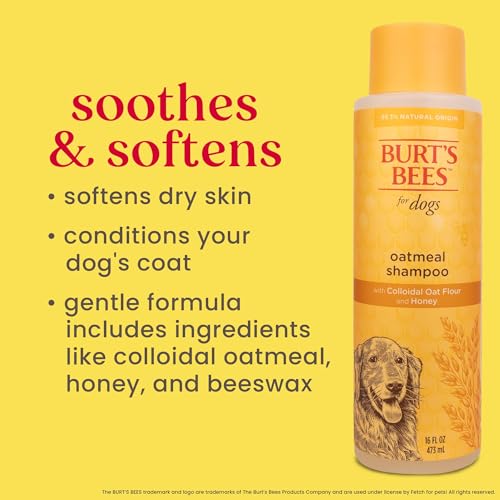 Burt's Bees for Pets Oatmeal Shampoo for Dogs with Colloidal Oat Flour and Honey - Skin Soothing Dog Oatmeal Shampoo, Moisturizing Dog Wash for Itchy Dry Skin, Essential Grooming Supplies, 16 Fl Oz