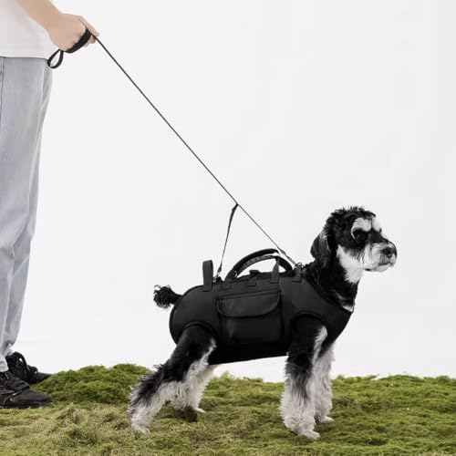 Mochila para perros ajustable con correa de 1,5m para mascotas 4
