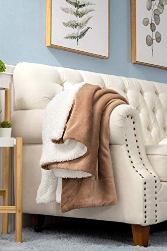 VAS COLLECTION? All Season Flannel Sherpa Blanket | Single 150 cm X 220 cm, Light Brown, wrinkleresistant
