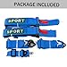 DING.PAI 5 Point Racing Harness SFI Approved Protection Heavy Duty Shoulder Pads Quick Release Cam Lock Latch Mechanism Fit Go-Kart Racing Car UTV ATV Blue