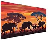 ❤【MATÉRIAUX DE HAUTE QUALITÉ】: Nos kit peinture numero adulte utilisent des peintures acryliques de haute qualité, les couleurs sont vives et ne se décolorent pas, et les chiffres sur la toile sont clairs et faciles à lire, vous aidant à conserver votre peinture numérotée pendant longtemps temps.