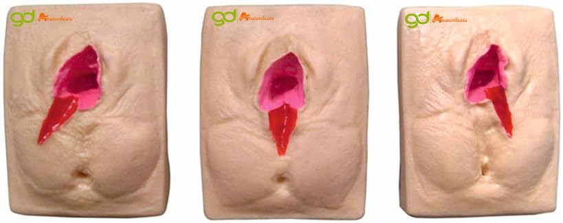 GD ANATOMICALS ® VULVA SUTURING TRAINING SIMULATOR (B0CLD7SG44) Amazon Price History, Amazon Price Tracker