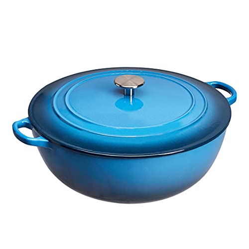 Enameled Cast Iron The 16 best products compared REVIEWED