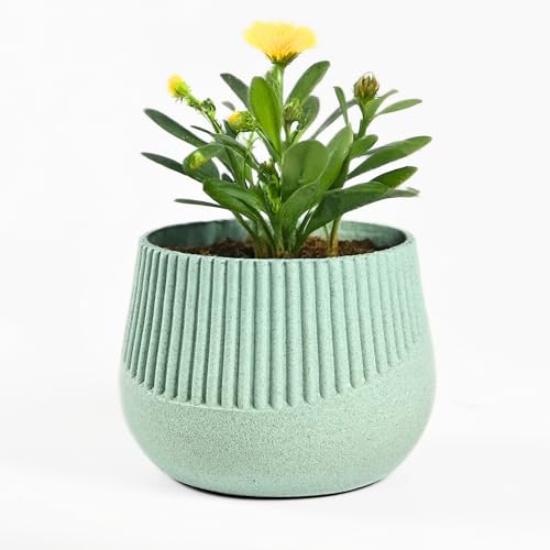 Image of Eha Earth Friendly Oreo 4 inch Small pots for Indoor Plants | Plant Pot Made with Bamboo Fibers | Table Top Planters for Home Decor and Office, Flower Pot for Living Room | 1 Unit, Celeste