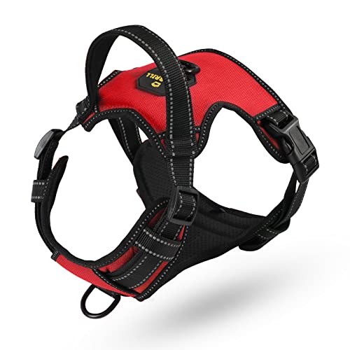 Hundehebegurt Mit Griff - Einstellbares Trageschirr Für Kleine Hunde Und Katzen