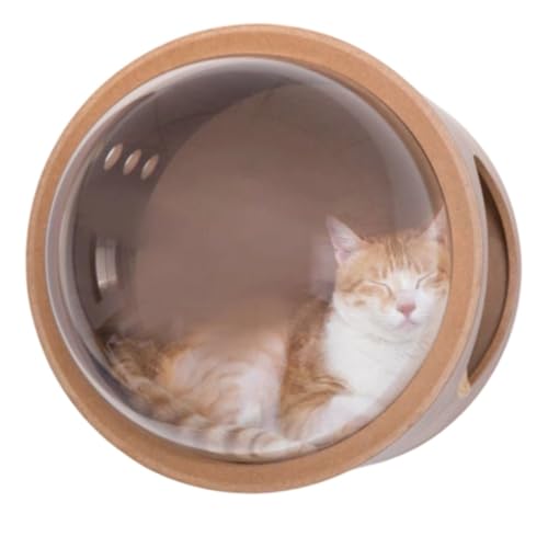 AOPIPI FD^AؐAǊ|/uLbgnEXAxbhtAh[^AFDAI[V[YΉAL̎U/NC~Ot[Mtg (FDLbgxbh)