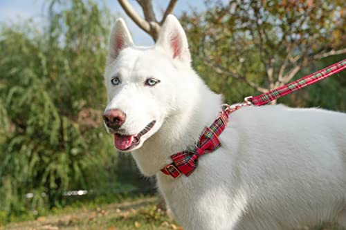 Image of Dog Collar Floral with Elegant Bow Tie Soft Comfy Cotton Adjustable Collar , Premium Metal Buckle for Puppy and Cat Small Medium Large（Red Plaid，L）