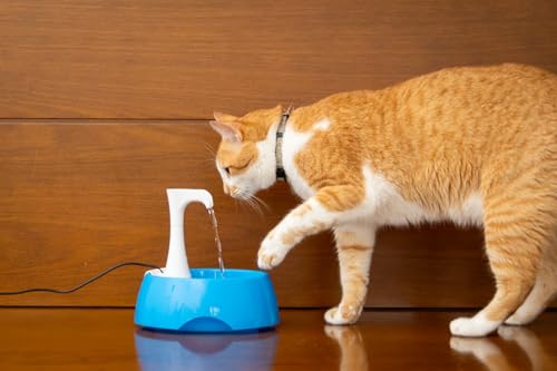AMICUS - Fonte Bebedouro de água AQUA FIRST USB para Gatos e Cães Bivolt, Bebedouro para Animais de