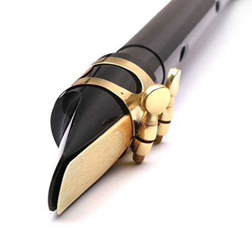 Milisten 8-Hole Saxophone Mini Pocket Saxophone Portable Simple Mini Saxophone For Beginner With Carrying Bag (Black) Saxophone #TOP4
