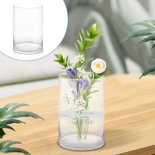 4 jarrones de cristal cilíndricos de 15 cm con base estable para decoración 6