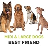 BOT Automatischer Ballwerfer für Hunde, inkl. 3Stk Hundebälle. Interaktives Hundespielzeug für Zuhause und Draußen (Ifetch Maxi 6.4cm)