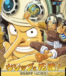 One Pice Character