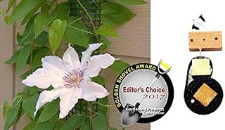 Scroll Trellis Garden Trellis for Narrow Spaces, Deck Posts, Fence Posts, Customizable