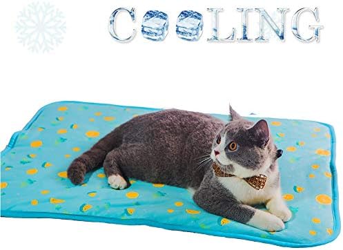 SEIS Dog Ice Pad Ice Silk Cats Kennel Mat Pet Cooling Pad Summer Cool Bamboo Mat Breathable Pad (Blue Fruit, M