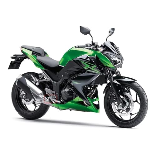 Cale-pied pour Kawasaki EX250 Ninja en alliage forgé premium