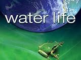 Water Life