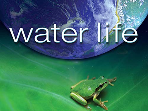 Water Life