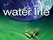 Water Life