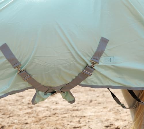 Image of LEAFOREST Horse Mesh Combo Fly Sheet with Adjustable Belly Guard and Detachable Neck Cover Lightweight and Breathable Protect Equines Green 81 inch