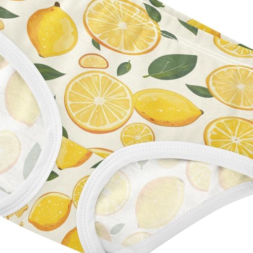 Wusikd Lemon Slice Fruit Girls' Underwear Cotton Girls Briefs Soft Toddler Underwear 2T4