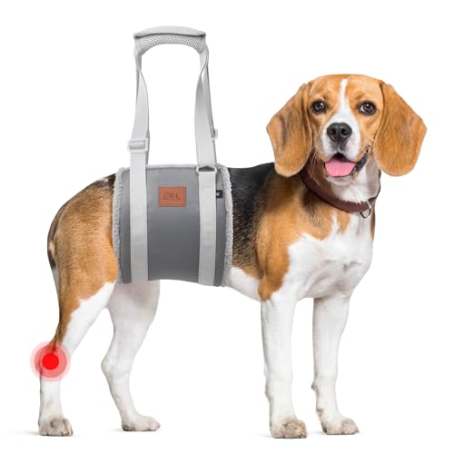 Adjustable Dog Sling for Medium Dogs Soft Post-ACL Surgery Mobility Aid