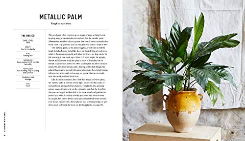 Decorating With Plants #TOP2