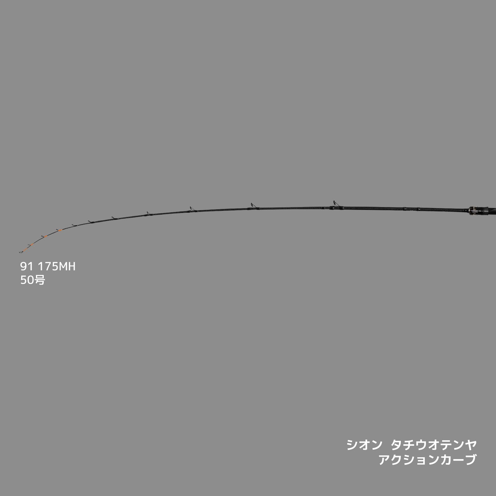 Amazon | アルファタックル (Alphatackle) シオン タチウオテンヤ