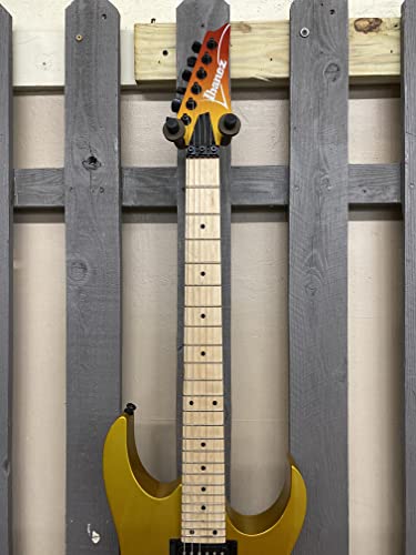 Ibanez Rg Series Rg470Mb Electric Guitar Autumn Fade Metallic #TOP4