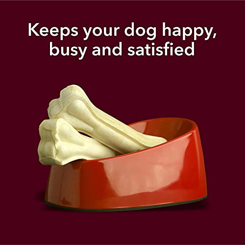 Image of Dog Chew Bones 5 Inch - Pack of 10 Natural Chewign Bone Rawhide Treats for Small & Medium Dogs - Long-Lasting Dental Chews for Healthy Teeth & Gums (Chicken Flavour)