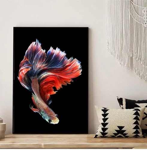 Affiche abstraite de poisson rouge pour chambre à coucher sereine