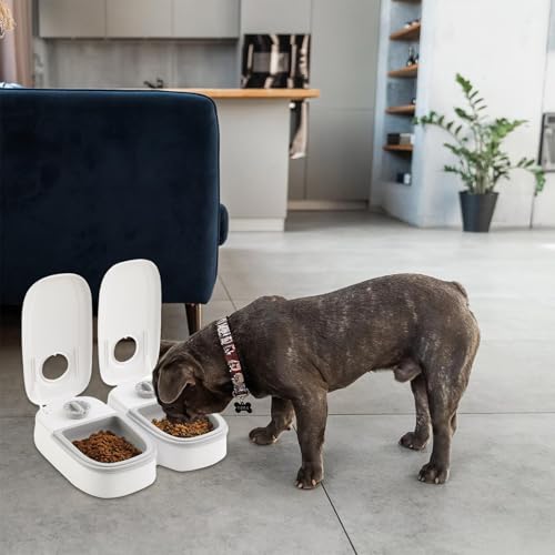 Idota Futterautomat für Katzen, 2 Mahlzeiten Automatischer Futterspender Hunde Katze mit 48 Stunden Timer, 350ml Trocken- und Nassfutterspender Automatic Feeder