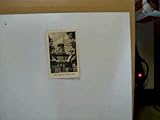 Postkarte: Potsdam - Park Sanssouci - Historische Mühle,