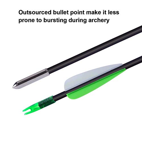 ANTSIR 30 Fiberglass Archery Target Arrows- Practice Arrows for Kids Youth or Begineers on Recurve Bow Long Bow Traditional Bow (Green Vanes Pack of 12)
