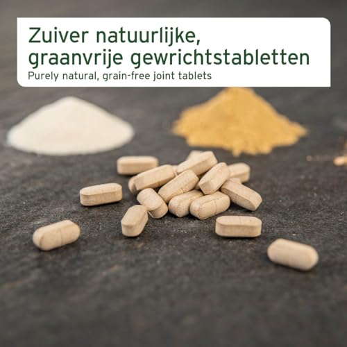 AniForte Gelenktabletten Hund AgilityVet 300 Stück - Natürlich & getreidefrei, mit Grünlippmuschel, Teufelskralle, Kollagen Pulver & Weihrauch für Hunde Gelenke & Sehnen