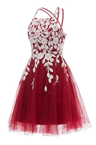 Changuan Lace Appliques Tulle Homecoming Dresses 2024 for Teens Short Prom Dress Spaghetti Strap Formal Cocktail Party Gowns2