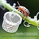 CVFRTT 12 Stück Insektenflaschen, Kunststoffbox Mit Eingebauter Lupe, Insektenbeobachtungsbox, Beobachtungsinstrumentenflasche, Wissenschaftliches Beobachtungszubehör