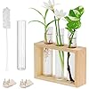 Jeu De 2 Vases Muraux En Verre Transparent Forme Cône - Pour Hydroponie, Décoration Intérieure, Fleurs Fraîches Ou Séchées - 4