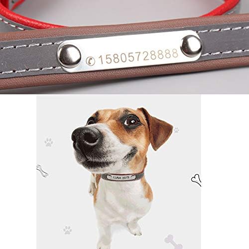 buddy dog collar amazon