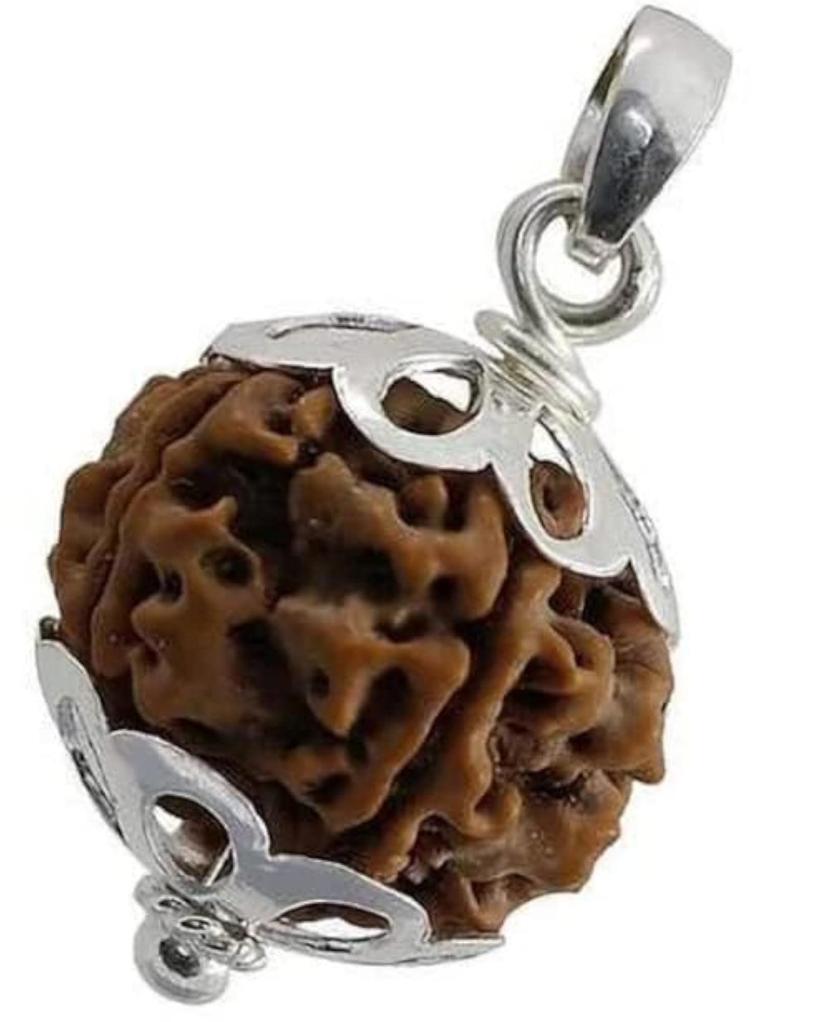 7 Mukhi Nepali Rudraksha Bead, Original Certified, AAA++ Quality