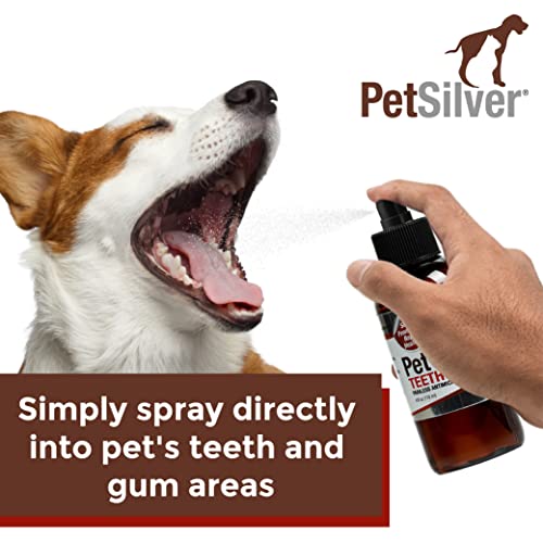Petsilver Teeth & Gum Spray For Dogs & Cats, Eliminate Bad Breath, Natural Pet Dental Care Solution, Targets Tartar & Plaque, Clean Teeth Without Brushing, Easy To Apply, Chelated Silver, 4 Fl Oz #TOP1