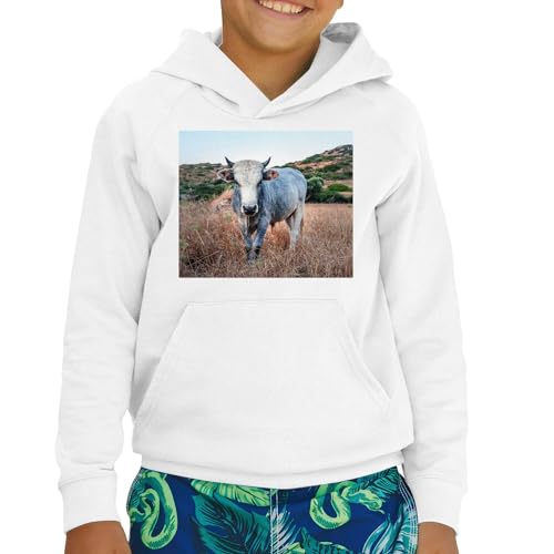 Sweat à capuche enfant vache grise une idée cadeau originale nature