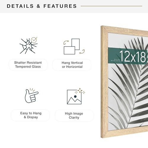 MCS Studio Gallery 12x18 Picture Frame Natural Woodgrain, Rectangle Photo Frame for Photos, Posters & Art Prints (2-Pack)