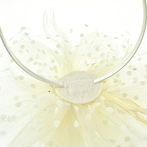 Image of DRESHOW Fascinators Hat Flower Mesh Ribbons Feathers on a Headband and a Clip Tea Party Headwear for Girls and Women