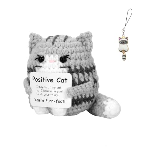 Set di 2 regali: portachiavi + decorazione : Include 1 portachiavi di gatto fatto a mano (10cm) e 1 decorazione di gatto (15cm), entrambi con design carino. Ideale per trasmettere positività e conforto a persone che ne hanno bisogno.