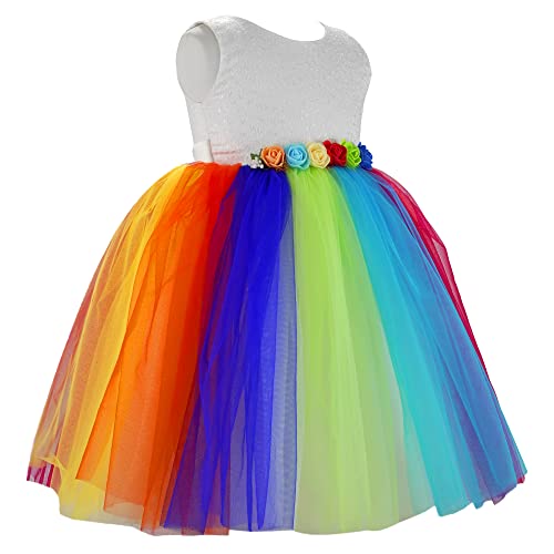 Image of Stanwells Kids Baby Girls Knee Length Birthday Frocks Net Flared Ruffle Pattern Puff Sleeves Western Frock Dress Embroidery Fancy Dress for Girls Birthday Gift for Daughter
