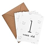 Livresse Monthly Baby Milestone Cards 16 Double-Sided Baby Milestone Signs with Rounded Corners Gender Neutral Cotton Paper Baby Month Milestone Signs for Monthly Baby Milestone Photos Pregnancy Gifts