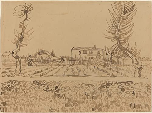 Laboureur dans les champs près d'Arles Van Gogh Affiche Toile Décoration Murale 60x90