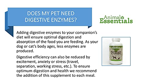Animal Essentials Plant Enzyme & Probiotics Supplement for Dogs & Cats, 10.6 oz - Image 8